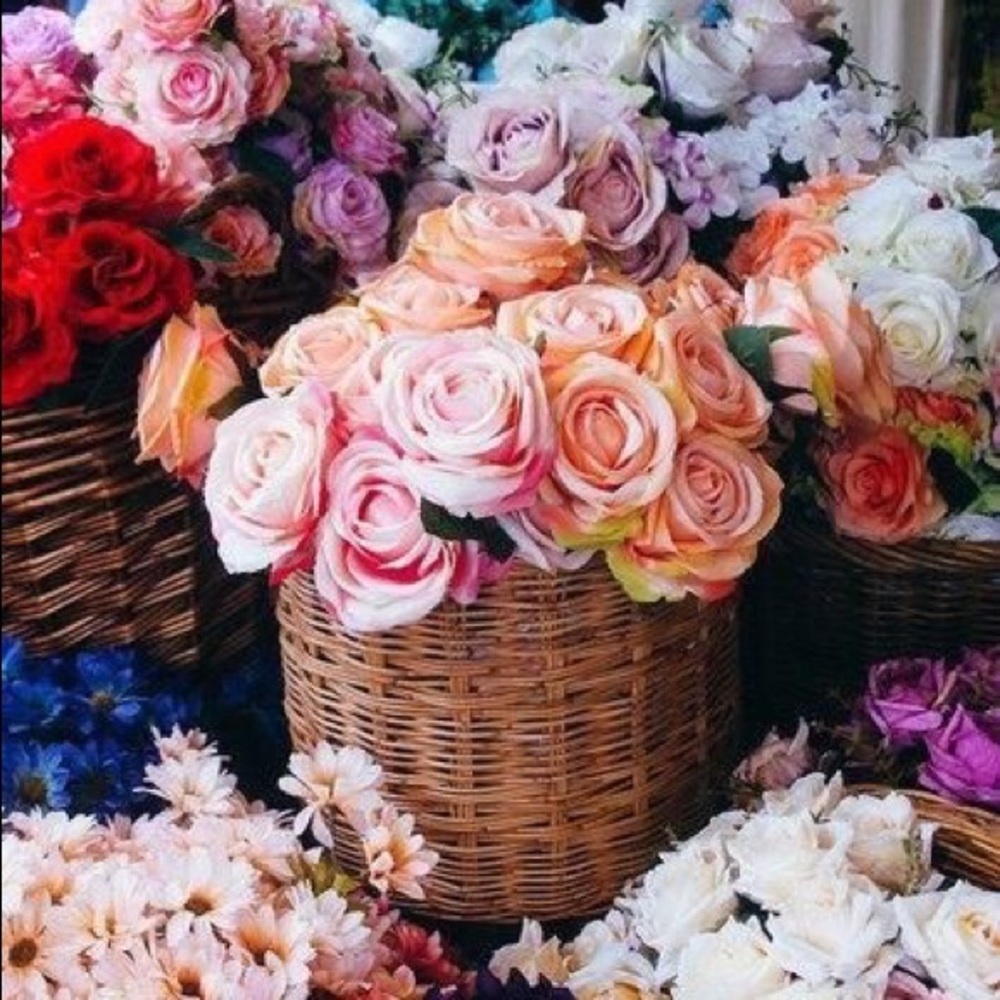 Meet your Posher, Leyla